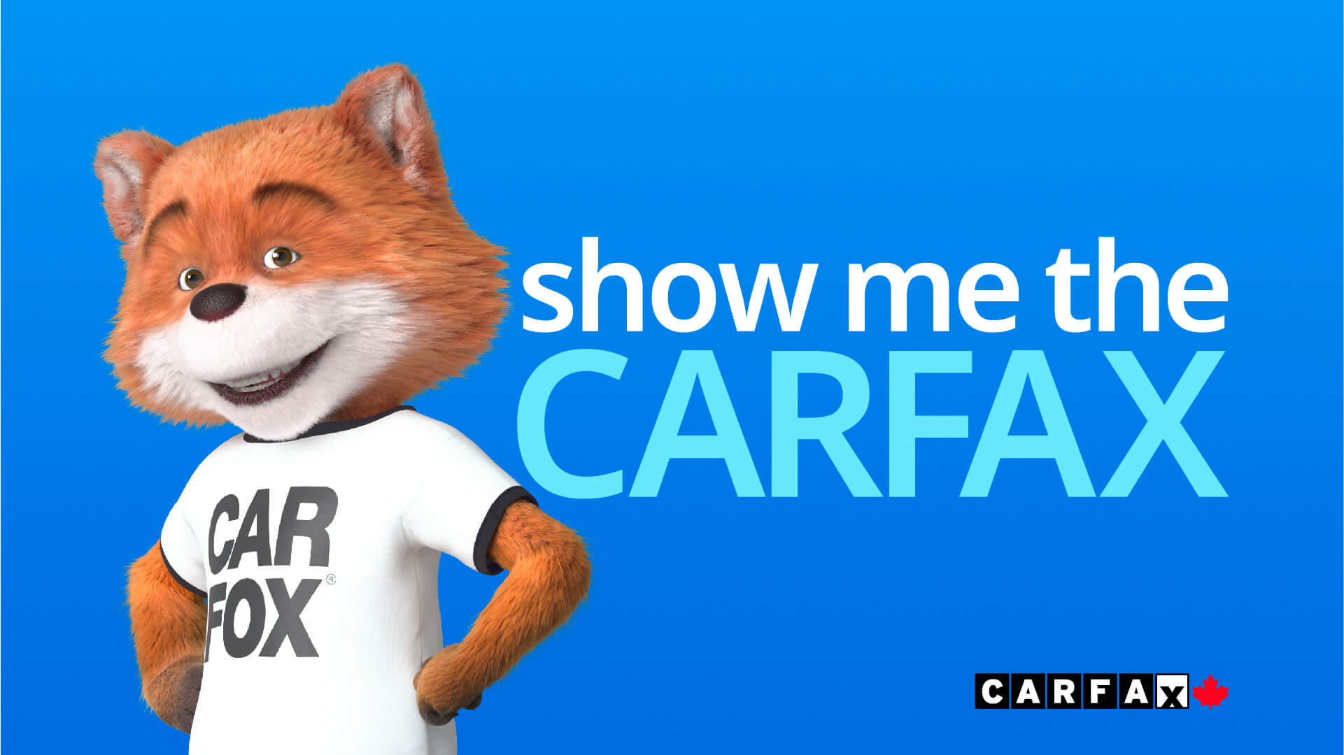 A fox with the text 'show me the CARFAX'.