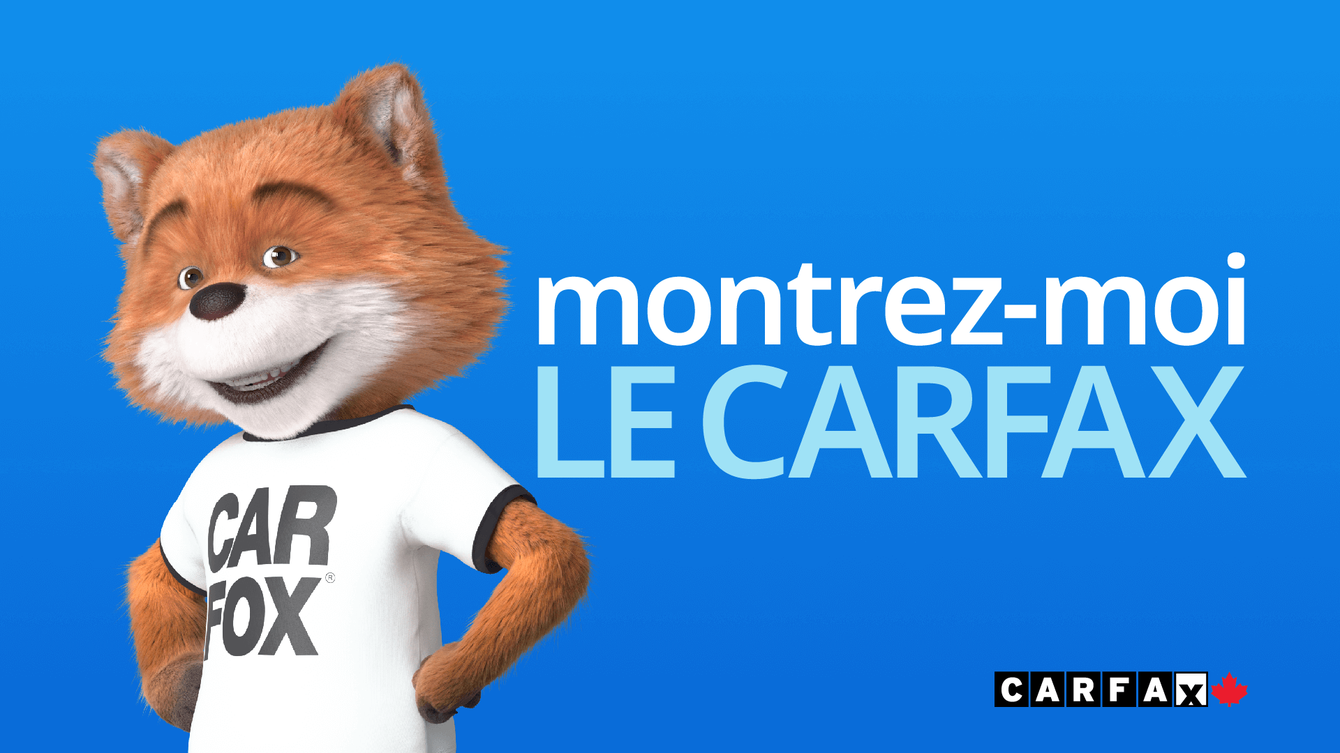 Un renard avec le texte « montrez-moi le rapport CARFAX ».