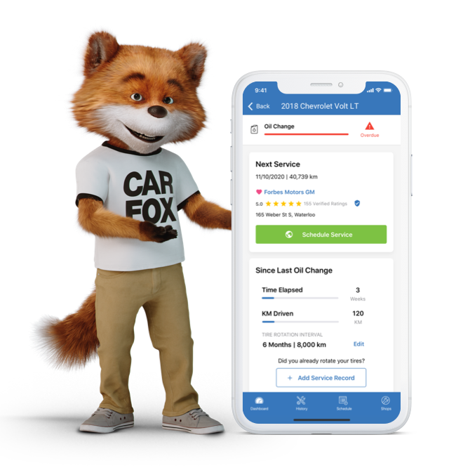 Check for open vehicle recalls in canada carfax canada
