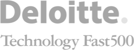 Deloitte Technology Fast500